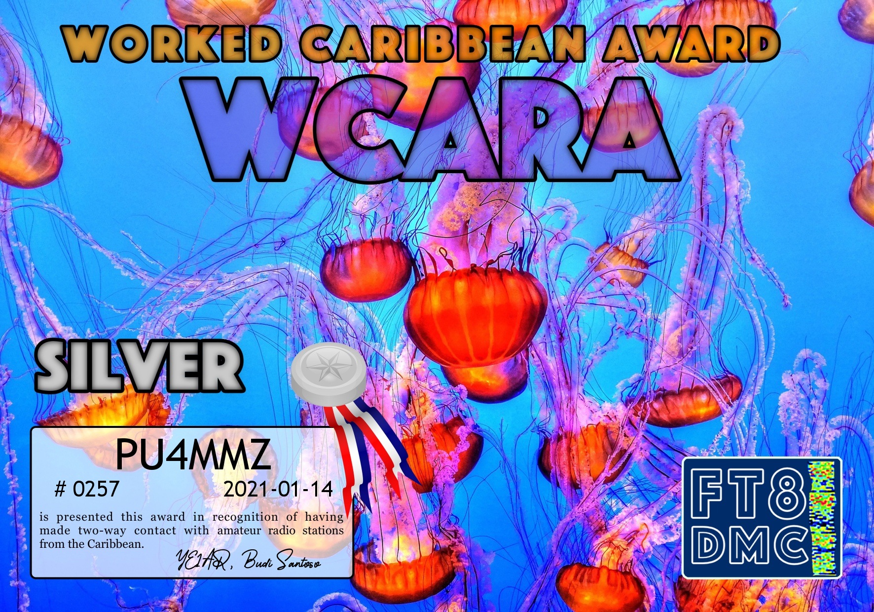 Pu4mmz Wcara Silver Ft8dmc