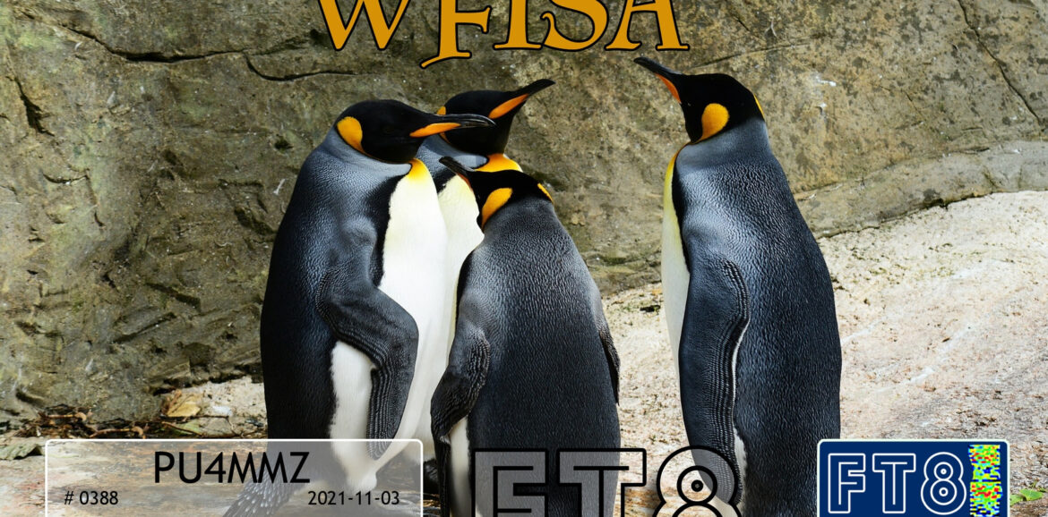Pu4mmz wfisa 5 ft8dmc
